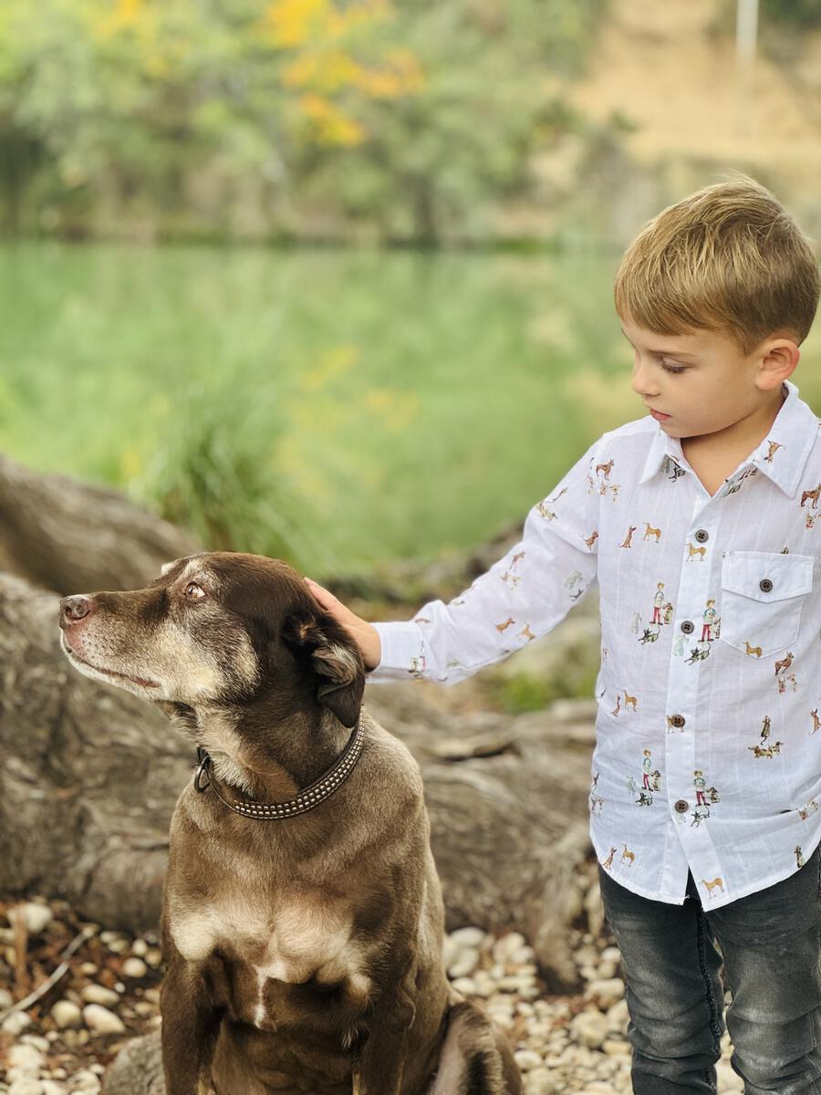 Me & Henry Henry Long Sleeve Shirt model dog
