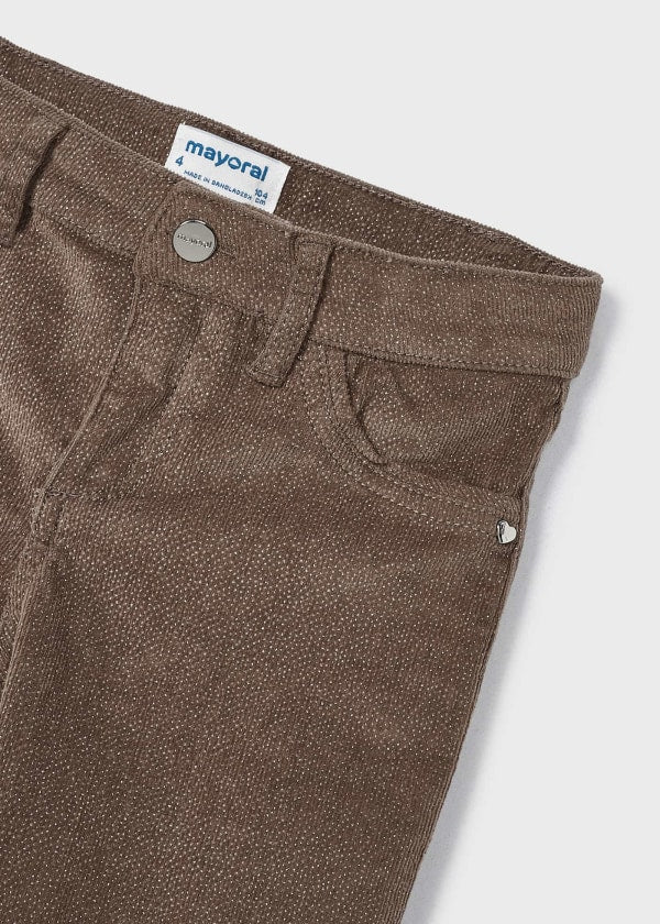 Sparkle Corduroy Pants in Brown