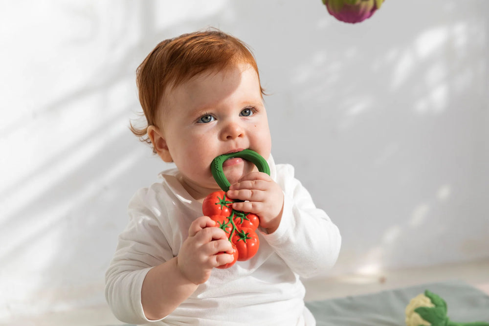 Oli & Carol Tomato Rattle Toy model