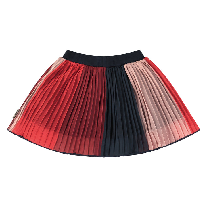 Stains & Stories Color Blocked Pleated Skirt  back