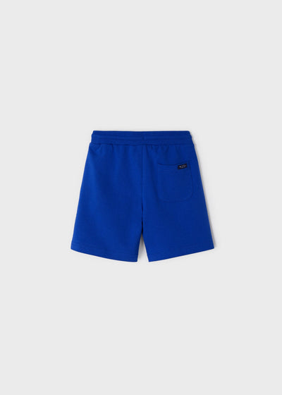 Basic Shorts in Ocean