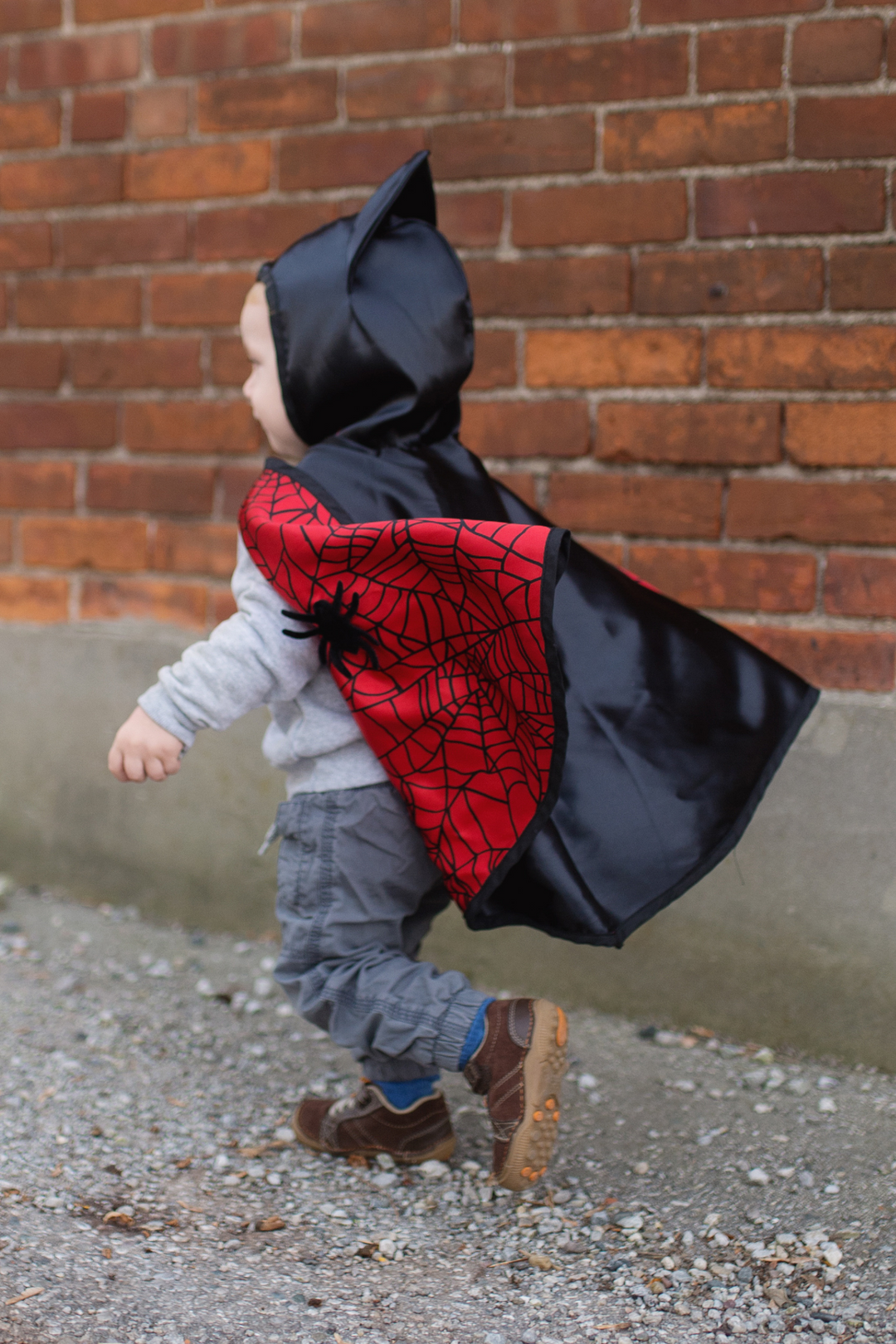 Spider/Bat Reversible Baby Cape Set