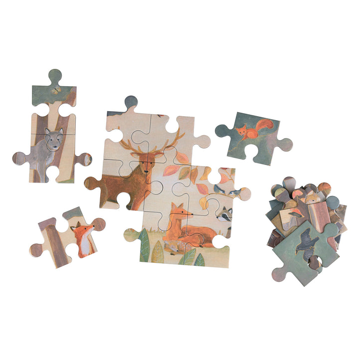 Egmont Puzzle in Case Forest pieces