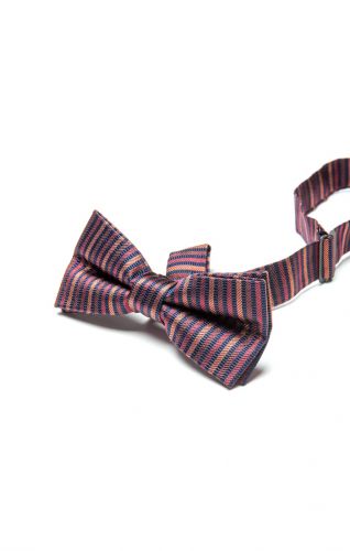 Autumn Stripe Bow Tie