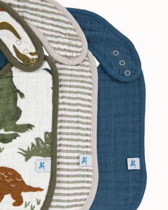 Dino Friends Set of 3 Bibs