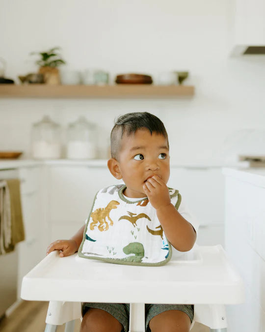 Dino Friends Set of 3 Bibs