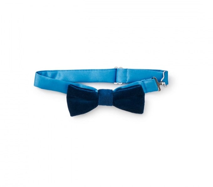 Appaman Velvet Bowtie