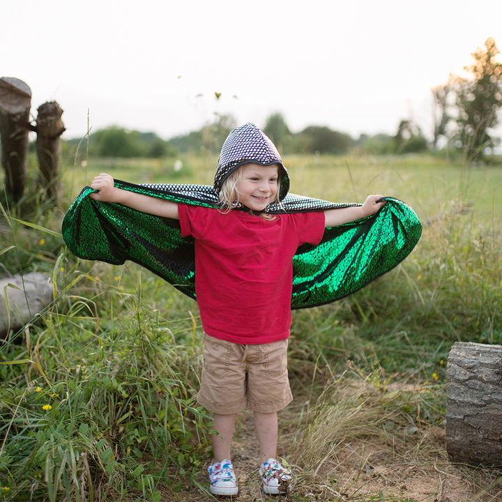 Dragon/Knight Reversible Hooded Cape