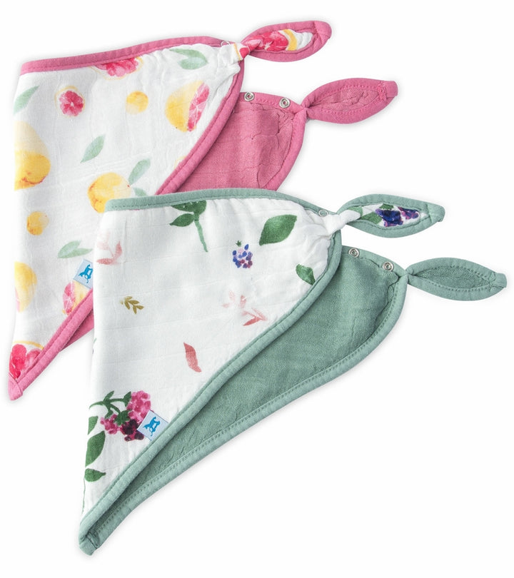 Sweet Tart Bandana Bib 2 Pack