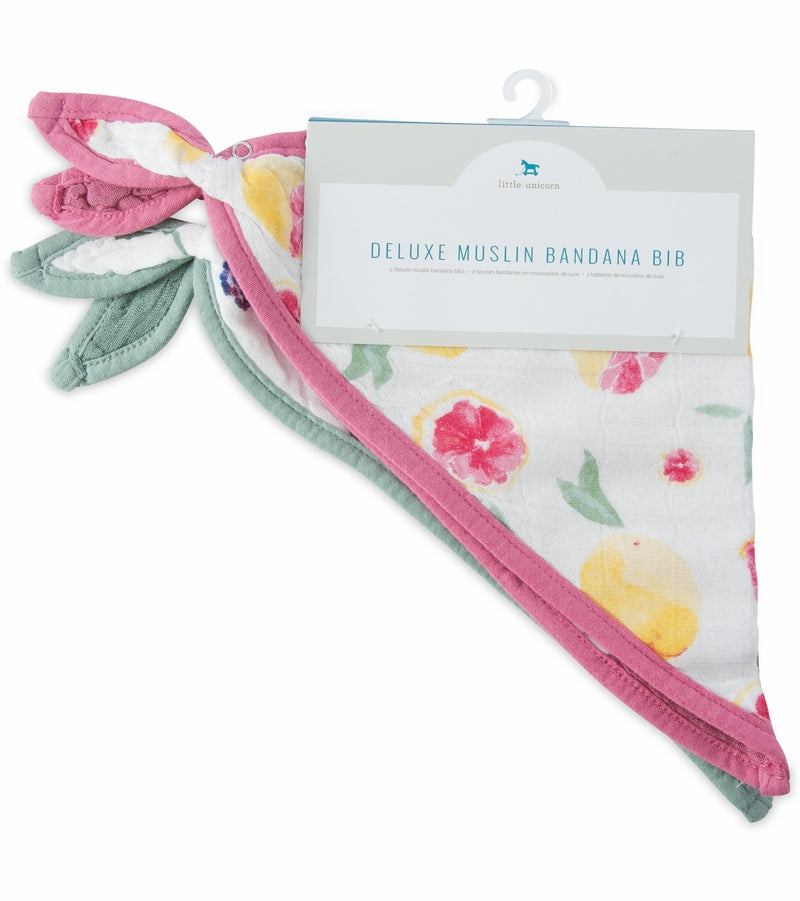 Sweet Tart Bandana Bib 2 Pack