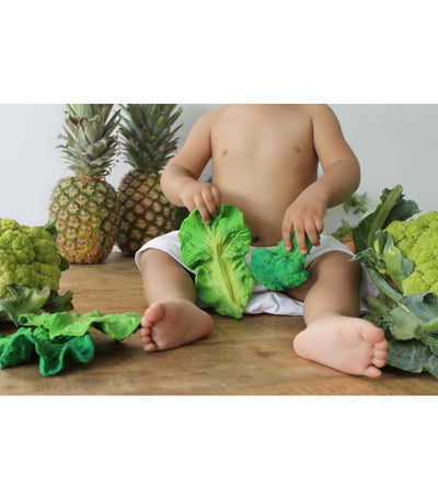 Kendall the Kale