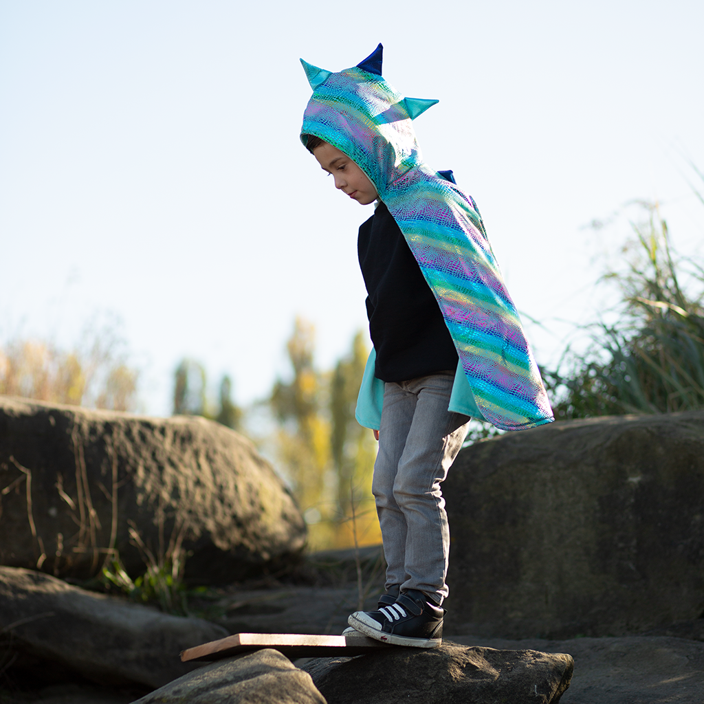 Unicorn/Dragon Reversible Cape